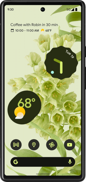 Google Pixel 6