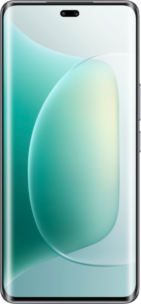 Honor 300 Pro