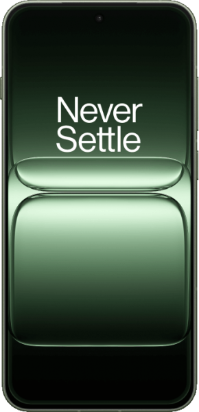 OnePlus 13s