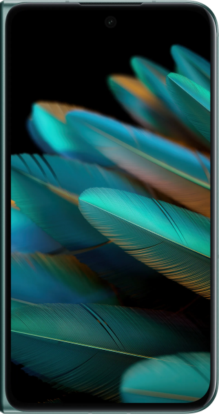 Oppo Find N2