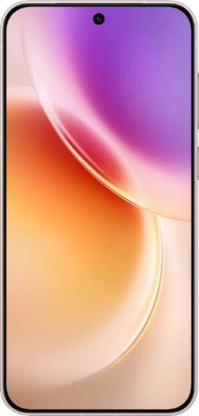 vivo X300