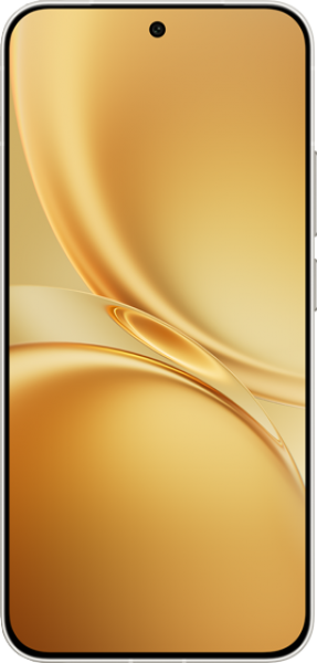vivo X300 FE