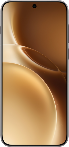 vivo X300 Pro