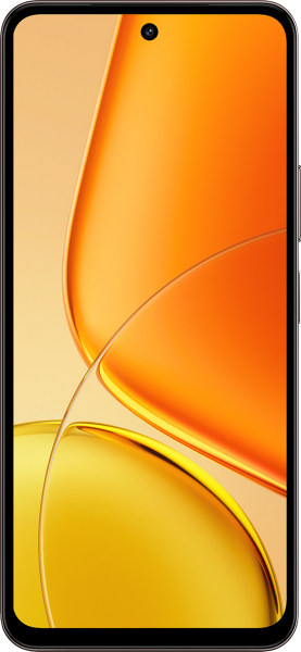 vivo Y29
